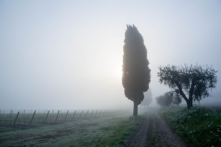 Thilo Weimar, wine photography, wine photographer, Weinfotografie, Weinfotograf