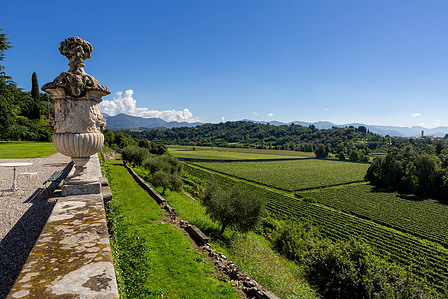 Thilo Weimar, wine photography, wine photographer, Weinfotografie, Weinfotograf, Franciacorta, Lombardia, Lombardei, Lombardy 