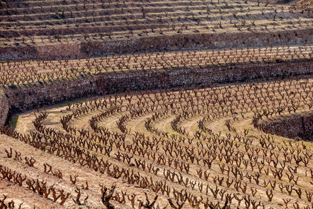 Thilo Weimar, wine photography, wine photographer, Weinfotografie, Weinfotograf