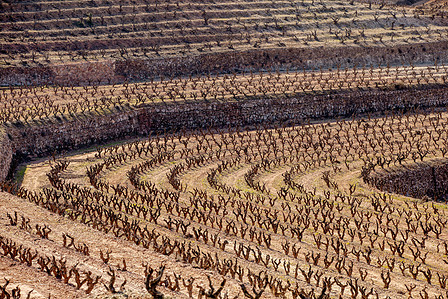 Thilo Weimar, wine photography, wine photographer, Weinfotografie, Weinfotograf