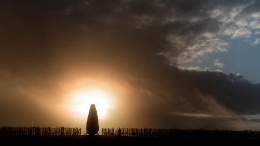 Thilo Weimar, wine photography, wine photographer, Weinfotografie, Weinfotograf