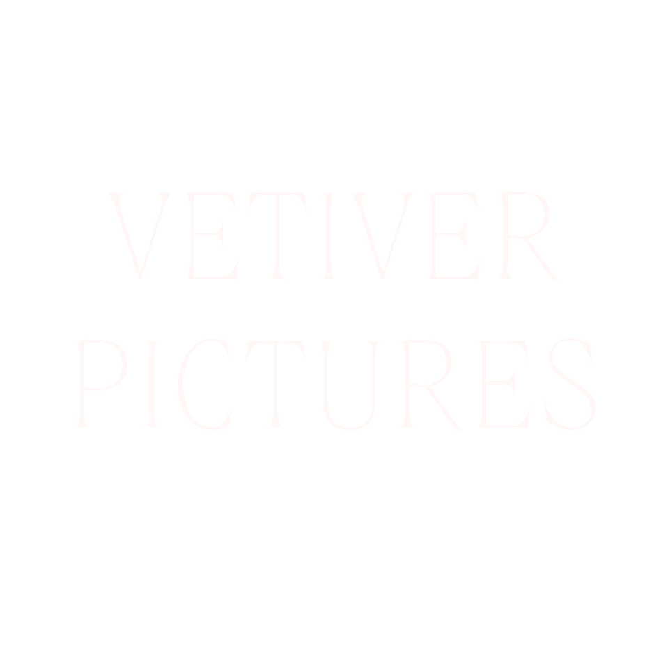 Vetiver Pictures