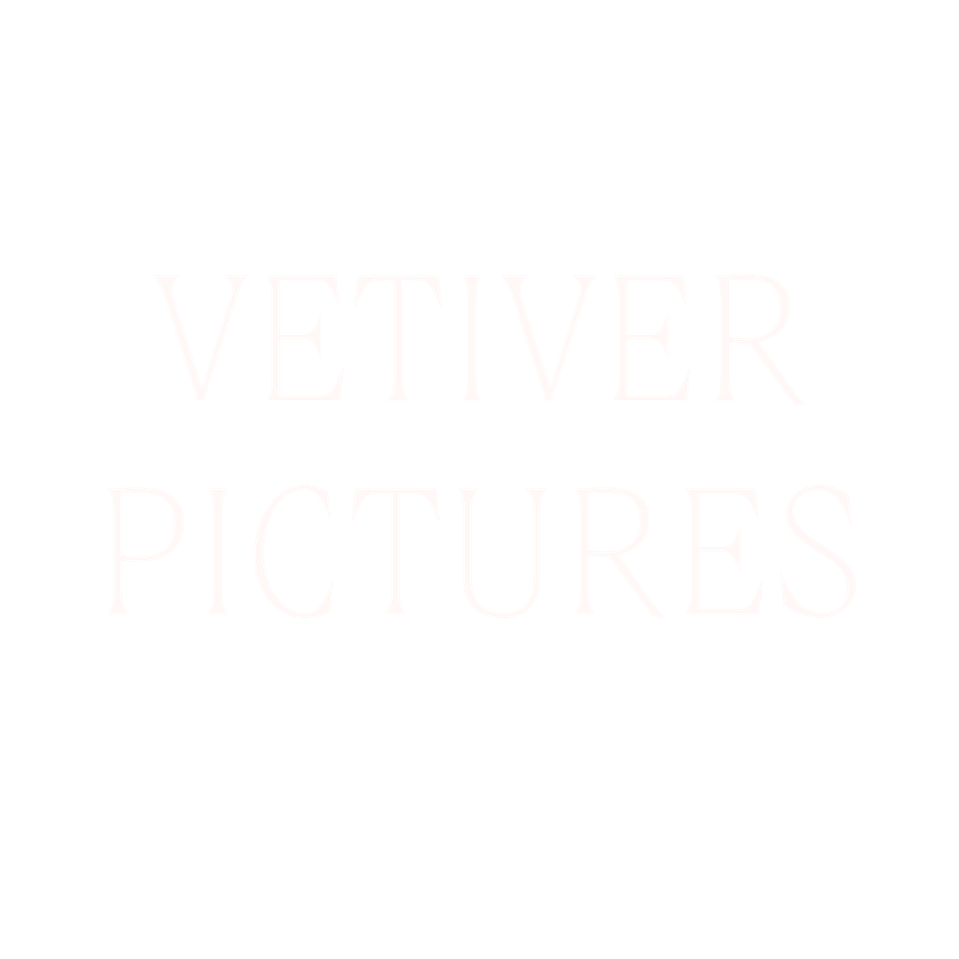 Vetiver Pictures