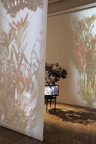 Three channel HD video projected on three screens. One channel HD video displayed on TV screen, chair and tree branch.