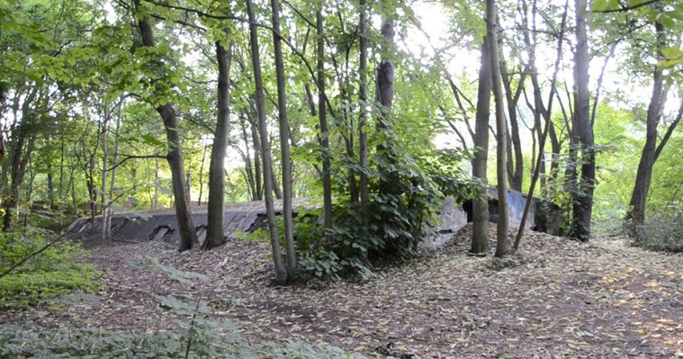The abandoned bunker, Schönholzer Heide Public Park, Berlin