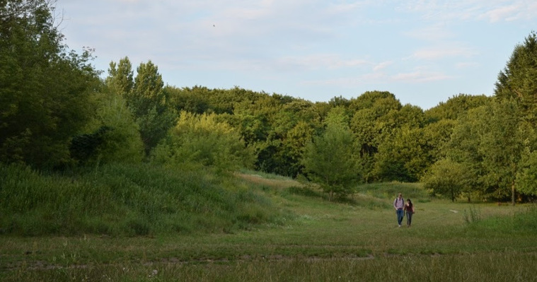 Schönholzer Heide Public Park, Berlin