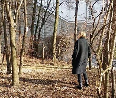Interactive sound installation, Bamboo Forest, 2016