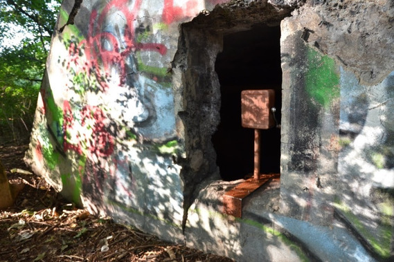 The generator part of the artwork, Luna Kinder, 2015