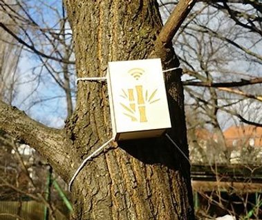 Interactive sound installation, Bamboo Forest, 2016