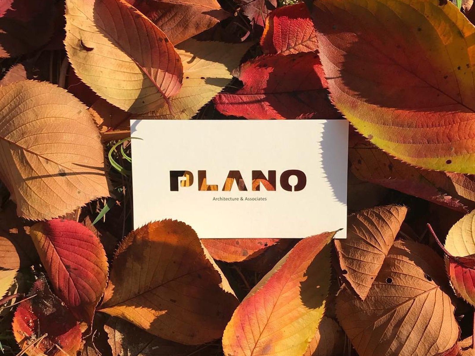 About - PLANO