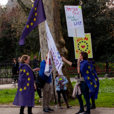 'Pro European Supporters draped in the European Flag, London Colour Street Photography'