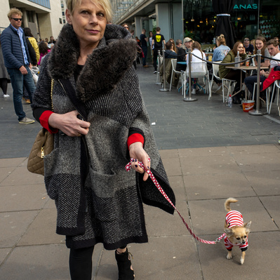 'Lady walking her dog through the west end of London, London Street Photography Colour' 