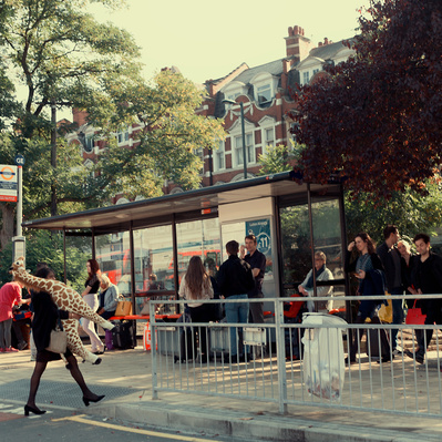 'Woman carrying a Giraffe across the road with people looking on, London Street Photography Colour'  