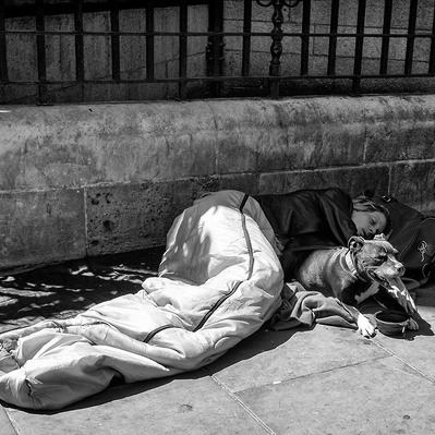 Rough sleepers dog keeping watch London black-and-white photography
