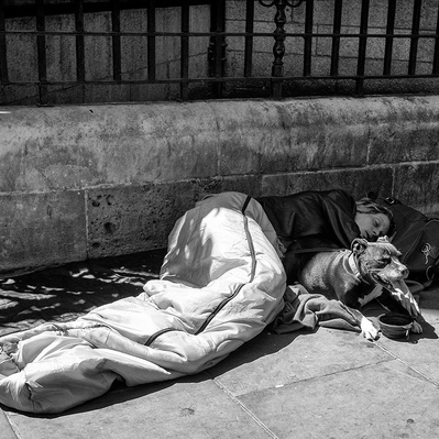 Rough sleepers dog keeping watch London black-and-white photography