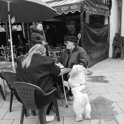Dog jumping up at the table. Popular, East London black-and-white photography.