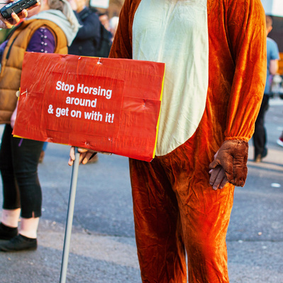'Pro Brexit Protester dressed up as a horse Westminster, London Colour Street Photography'