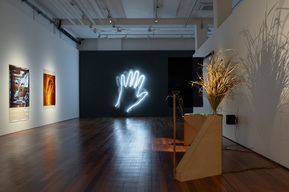 Curated by Vicky Browne, Topographies 
Artists: Ben Denham, Vicky Browne, Rachel Peachey & Paul Mosig, Magnetic Topographies & Friends, Brendan Van Hek and Amanda Williams 