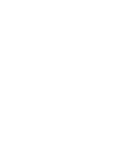 Courtney Messer's Portfolio