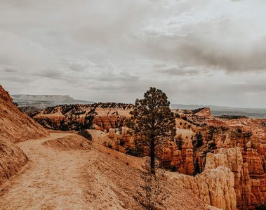 Orange color dirt path on a canyon ledge in Bryce Canyon National Park