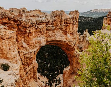 National Bridge canyon lined by pine covered mountains in Bryce Canyon National Park