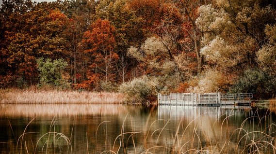 Reflection of an autumn landscape at a park