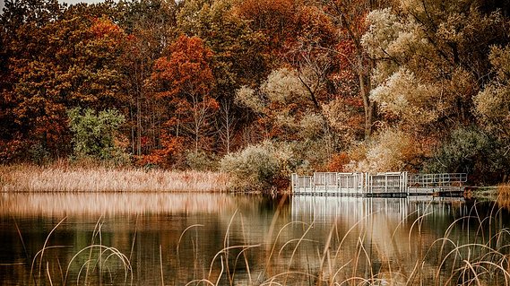 Reflection of an autumn landscape at a park