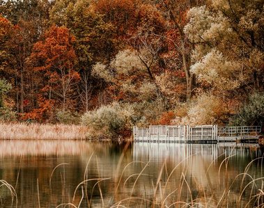 A dock reflects off the calm pond lined by fall color trees in southeastern Michigan