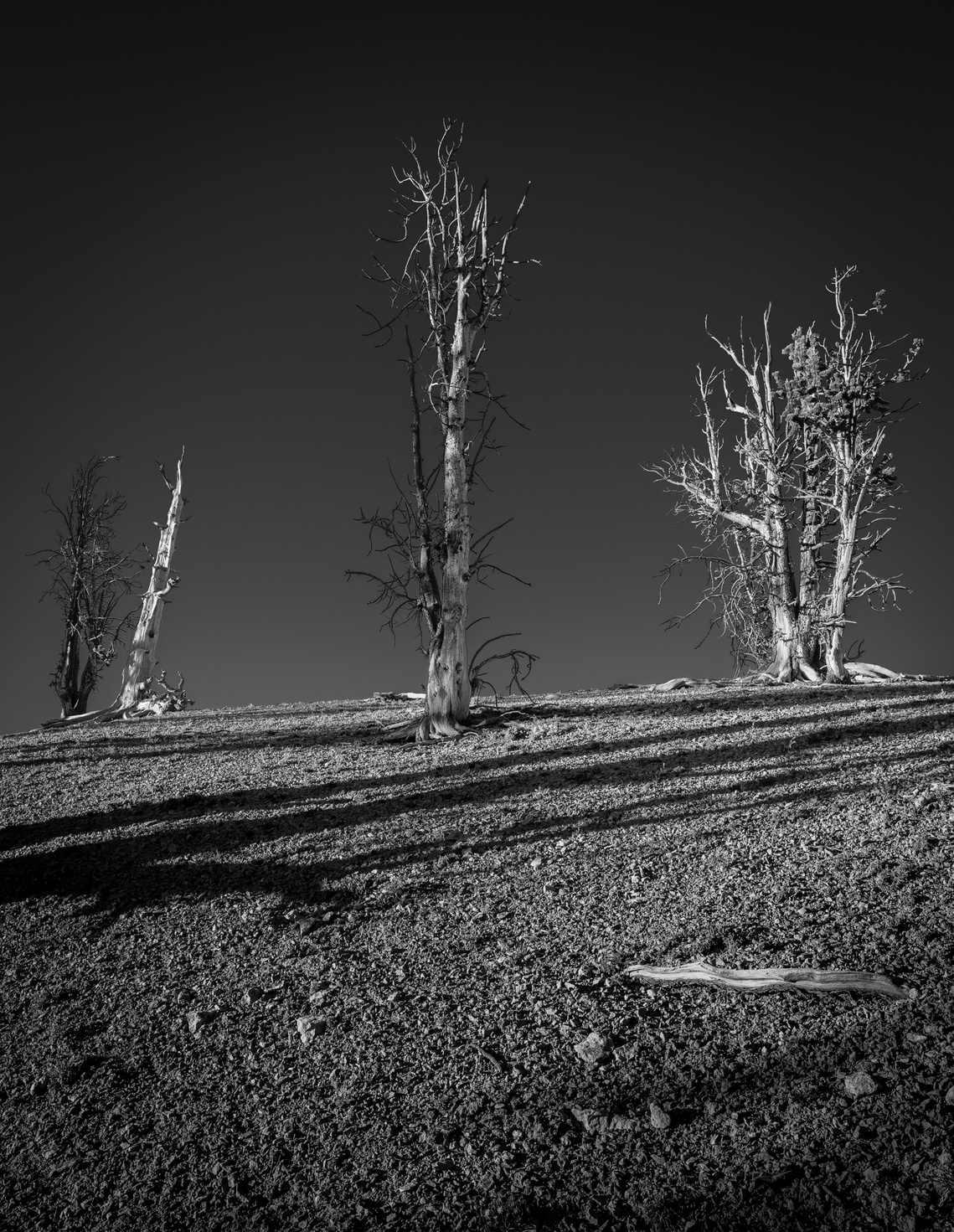 Markagunt Plateau, Utah.