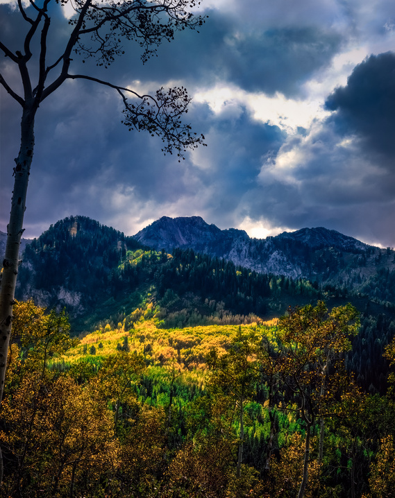 Autumn storm, Wasatch Mountains, Utah. Scanned from original 4x5 film transparency.