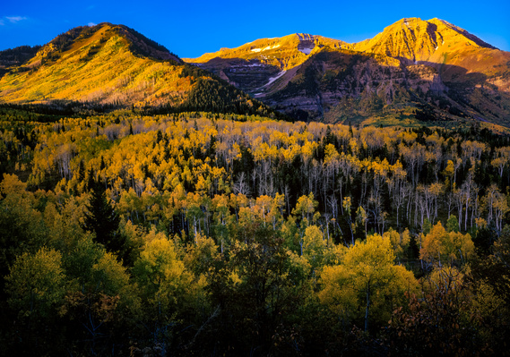 Autumn sunrise in the Wasatch Mountains, Utah.