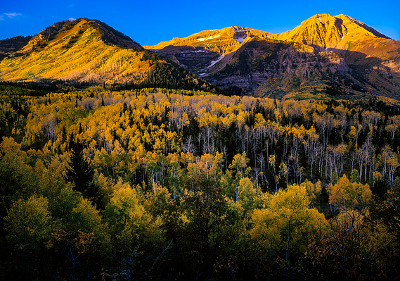 Autumn sunrise in the Wasatch Mountains, Utah.