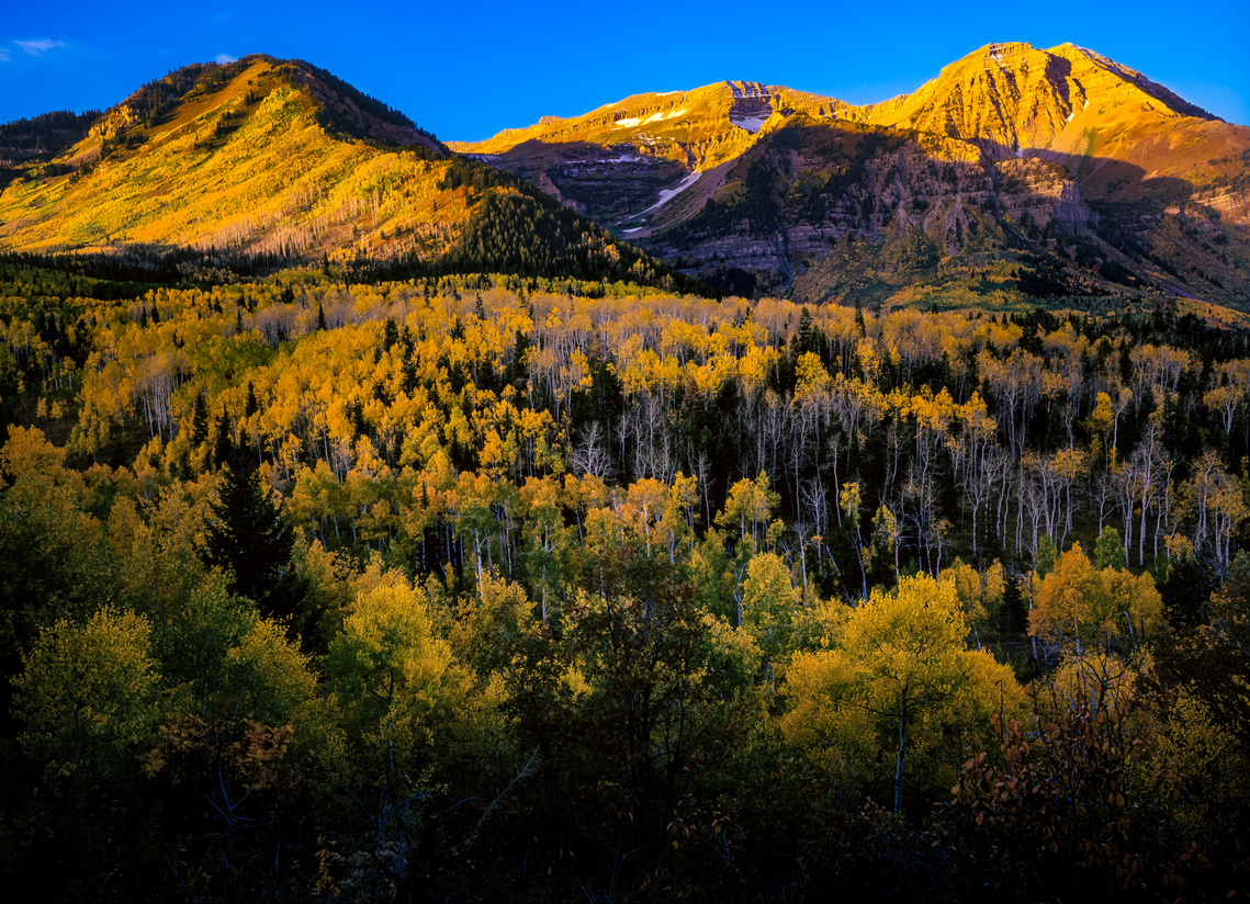 Autumn sunrise in the Wasatch Mountains, Utah.