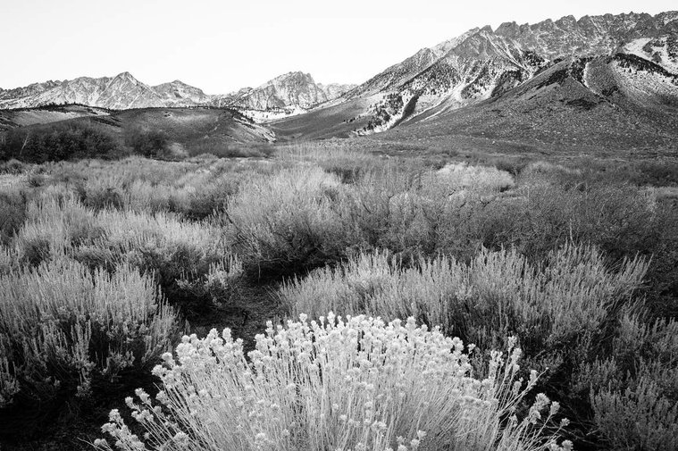 Snow fall on the High Sierra Nevada, California.