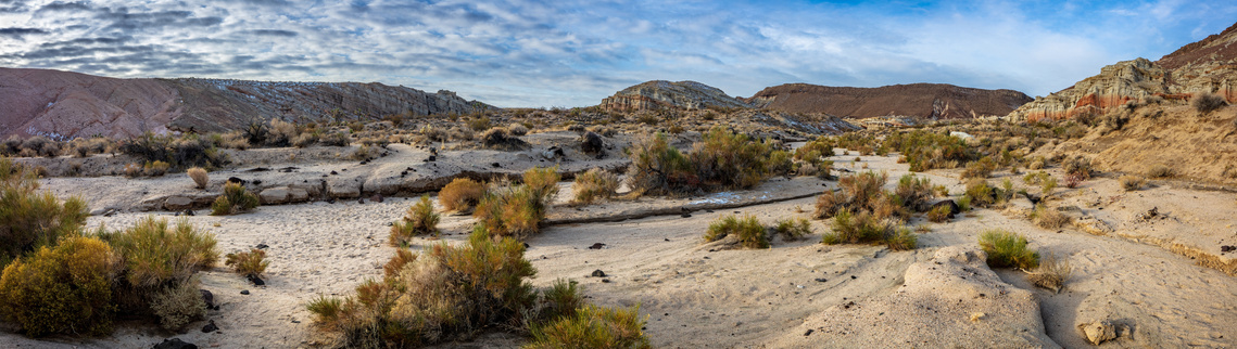 Early morning in the high Mojave Desert, Red Rock Canyon State Park, California.