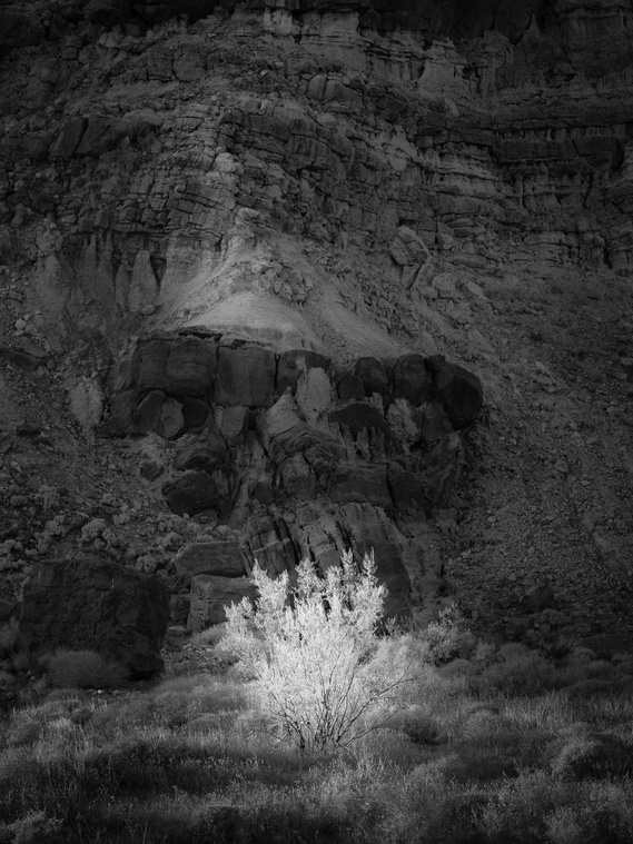Evening falls in the Mojave Desert, Red Rock Canyon State Park, California.