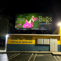 Physical Billboard for BugLab (Te Papa, Wëta) exhibition, Procreate, 2025.