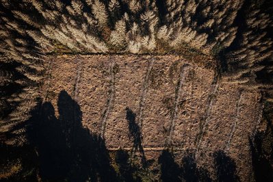 Abgeholztes Gebiet in einem Wald mit Drohne fotografiert