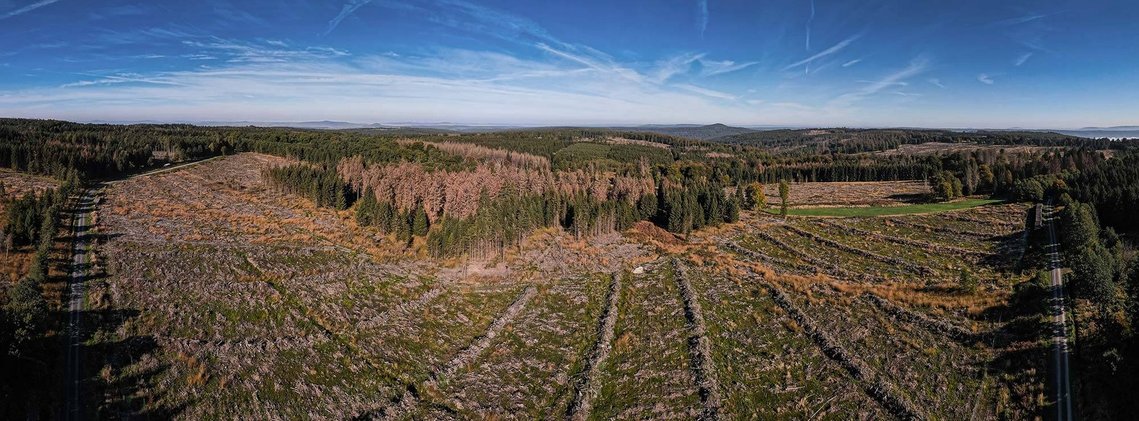 Panorama Foto Drohne von abgeholztem Waldgebiet in Hessen