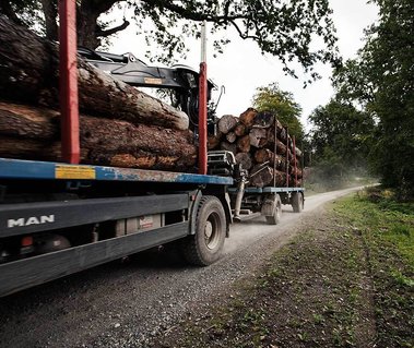Abtransport von Holz mit einem Lkw und Anhaenger auf einer Straße im hessischen Wald
