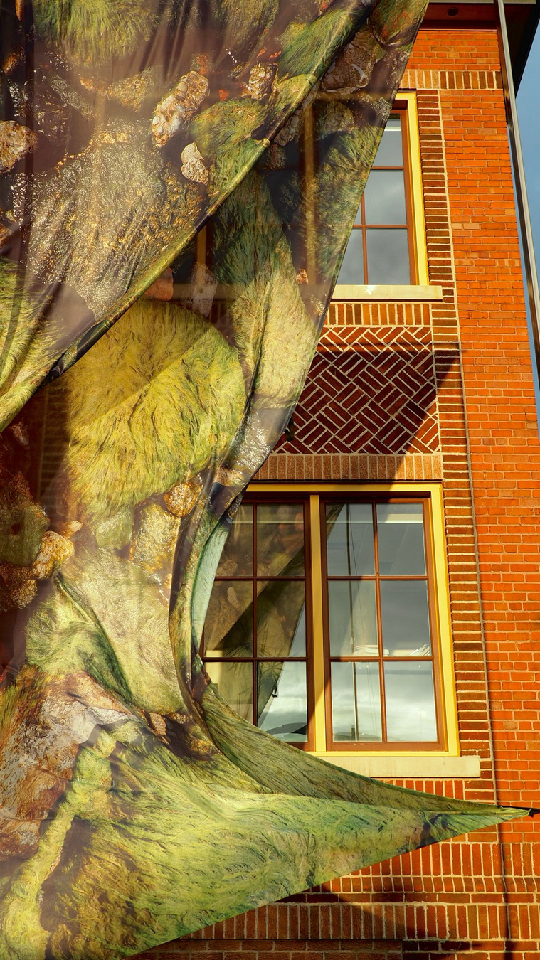 Digital image of moss printed on sheer textile hanging in from of red-brick building of the former Lakeshore Psychiatric Hospital, Etobicoke.