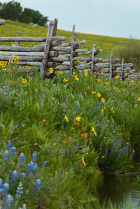 Along Last Dollar Road
