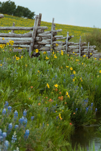 Along Last Dollar Road
