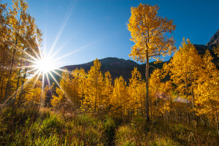 Aspen, Co