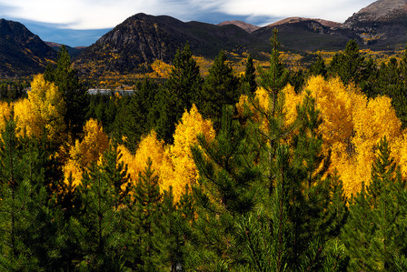aspen, Breckenridge, Colorado, dillon resevoir, evergreen, fall colors, Frisco, Mountain, summit county