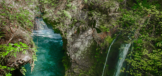 Streams and Waterfalls in Oregon