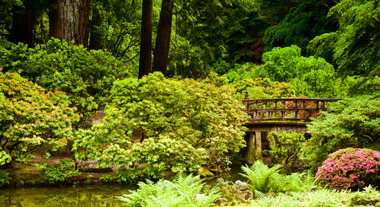 Bridge at the Japanese Gardens in Portland Oregon