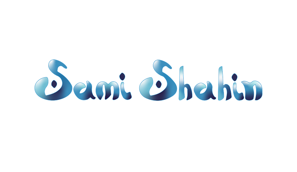 Sami Shahin's Portfolio