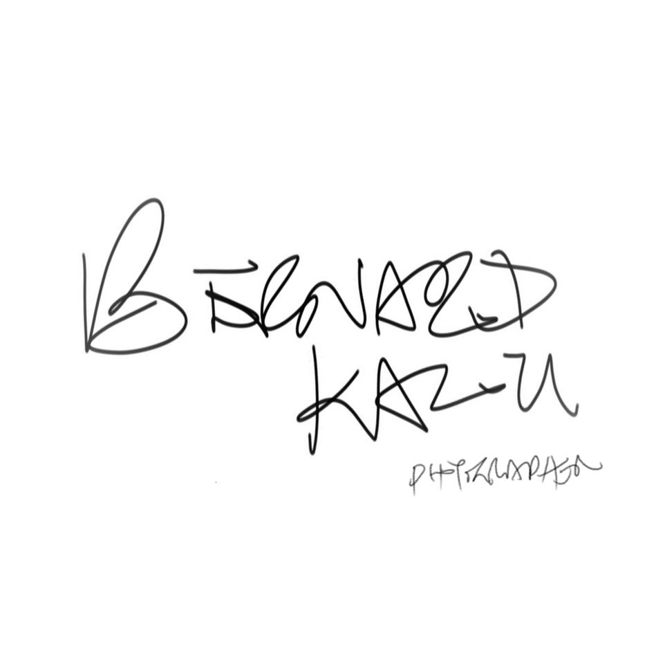 Bernard Kalu 's Portfolio - Visual Artist