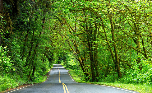 Country Lane Klamath River